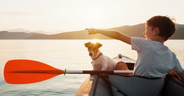 Best Kayaks for Dogs