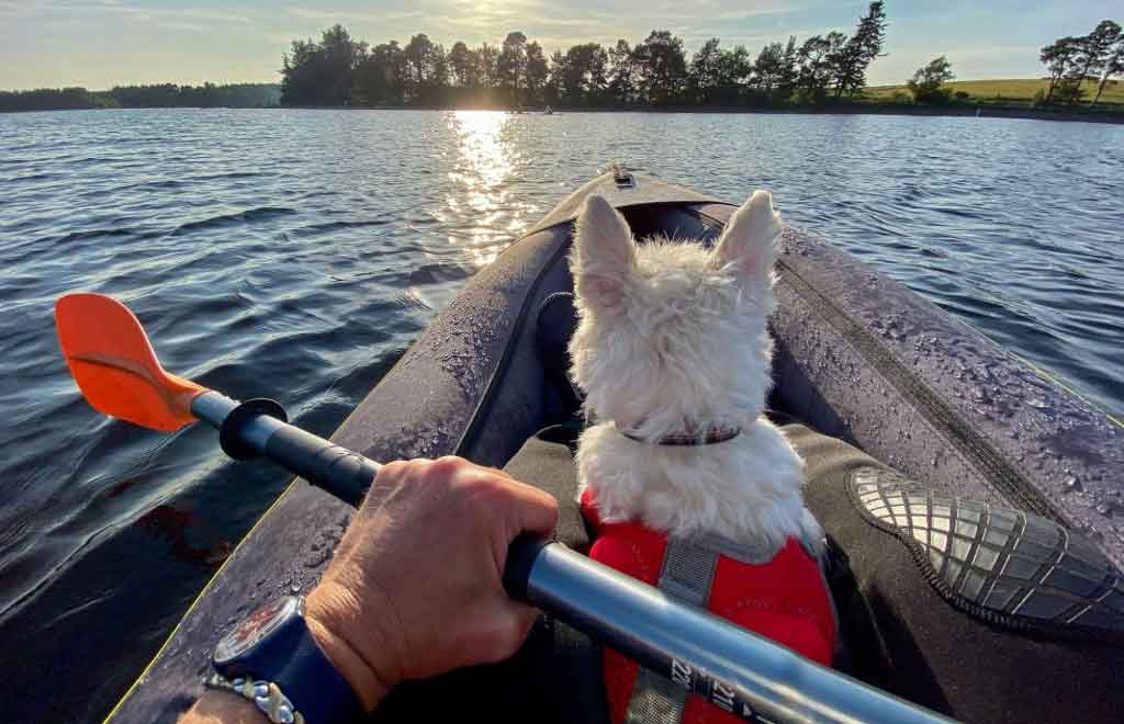Best kayaks for dogs - buying guide