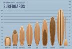 Surfing Board Types