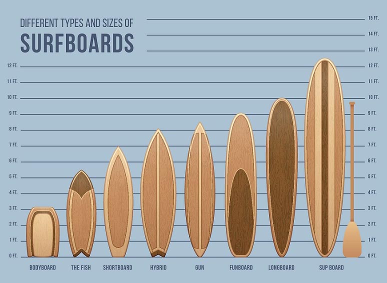 Surfing Board Types