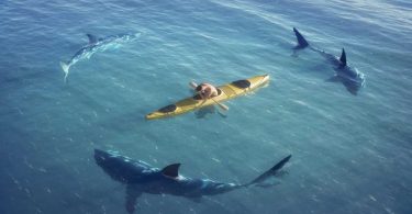 do sharks attack kayaks